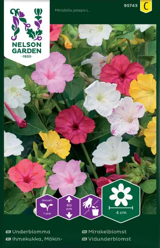 Produktfoto för Underblomma, mix