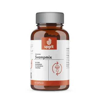 Produktfoto för Upgrit Svampmix 60 kapslar