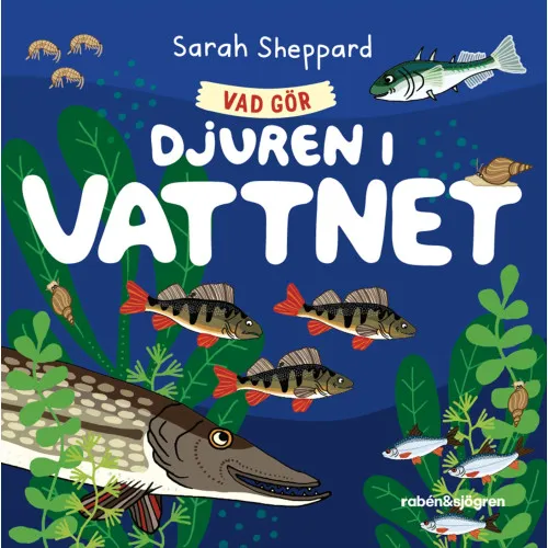 Alternativ bild 0 för Vad gör djuren i vattnet?