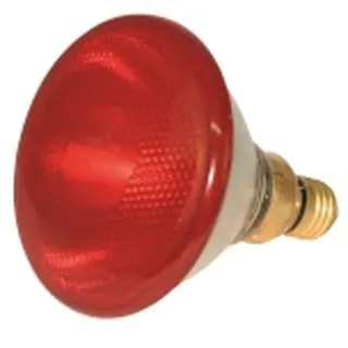 Produktfoto för Värmelampa IR 100 watt