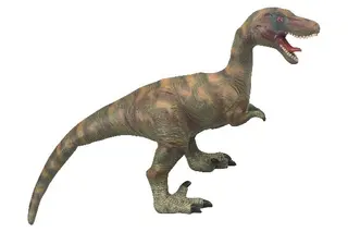 Produktfoto för Velociraptor 65x18x38cm ass.
