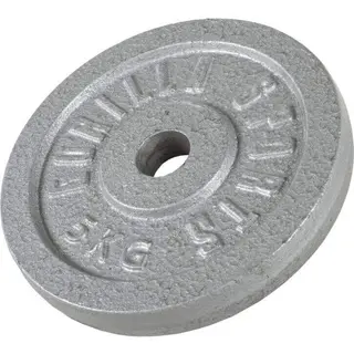 Produktfoto för Viktskivor IRON Silver 31mm 0,5kg-30kg