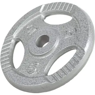 Produktfoto för Viktskivor TRIGRIP Gjutjärn 31mm 0,5-20kg