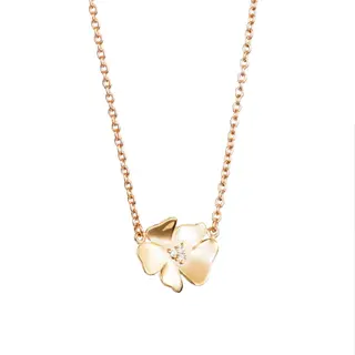 Produktfoto för Violet & Stars Halsband Guld