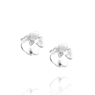 Produktfoto för Violet Örhänge Silver