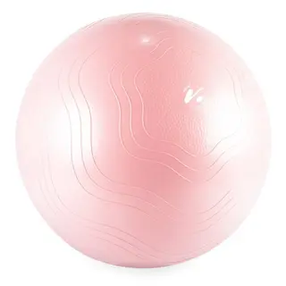 Produktfoto för VIVID Fitness Ball, Gymbollar