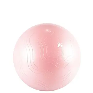 Produktfoto för VIVID Fitness Ball, Gymbollar