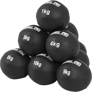 Produktfoto för Wall Ball PRO 1-10kg
