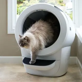 Produktfoto för Whisker Litter-Robot 4 Självrensande Kattlåda Vit