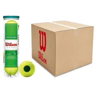 Produktfoto för Wilson Starter Play Green - Låda (18 rör)