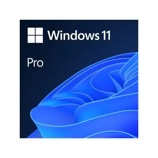 Produktfoto för Windows 11 Pro - Licens - 1 licens - OEM - DVD - 64-bit - engelska