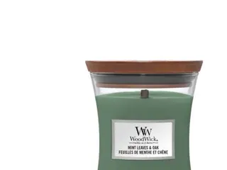 Produktfoto för WoodWick Mint Leaves & Oak, Cylinder, Grön, Mint, Ekträ, 60 h, 1 styck