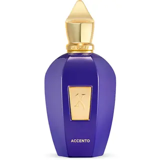 Produktfoto för Xerjoff Accento Eau de Parfum - 100 ml