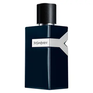 Produktfoto för Yves Saint Laurent Y Le Parfum 100ml