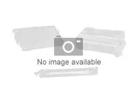 Produktfoto för Zebra Z-Select 2000T - Matt - permanent akrylhäftning - bestruket - perforerad - vit - 25 x 102 mm 30960 etikett (er) (12 rulle/rullar x 2580) papper - för TLP 2844, 3742  Zebra DA402, GX420  GK Series GK420  G-Series GC420  TLP 2844, 3742, 38XX
