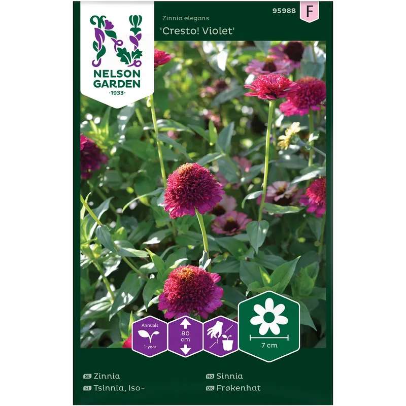 Alternativ bild 0 för Zinnia 'Cresto! Violet'