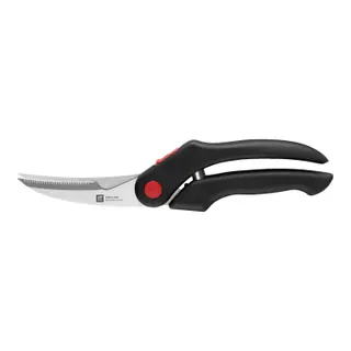 Produktfoto för Zwilling Kycklingsax, 25 cm, svart