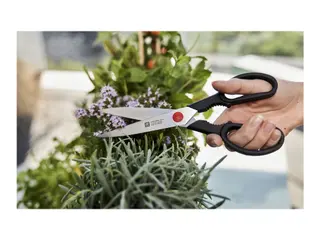 Produktfoto för Zwilling Twin Universalsax 23 cm